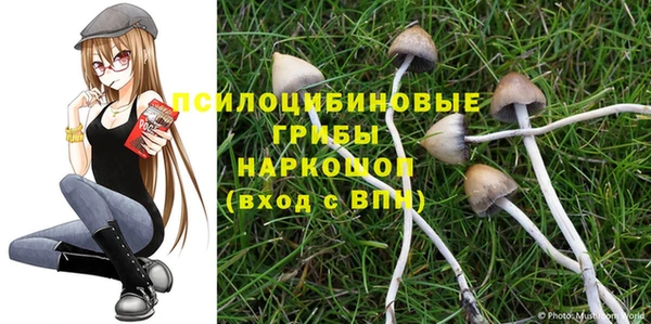 меф Армянск